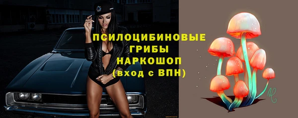 тгк Липки