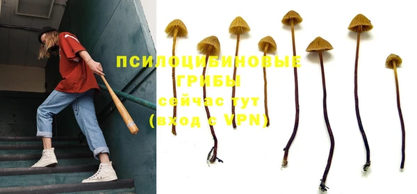 тгк Липки