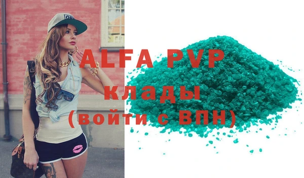 стафф Курчалой